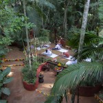 Yoga y meditación en la Selva del Iguazú